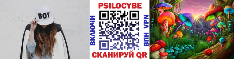 закладка  Белозерск  Псилоцибиновые грибы GOLDEN TEACHER 